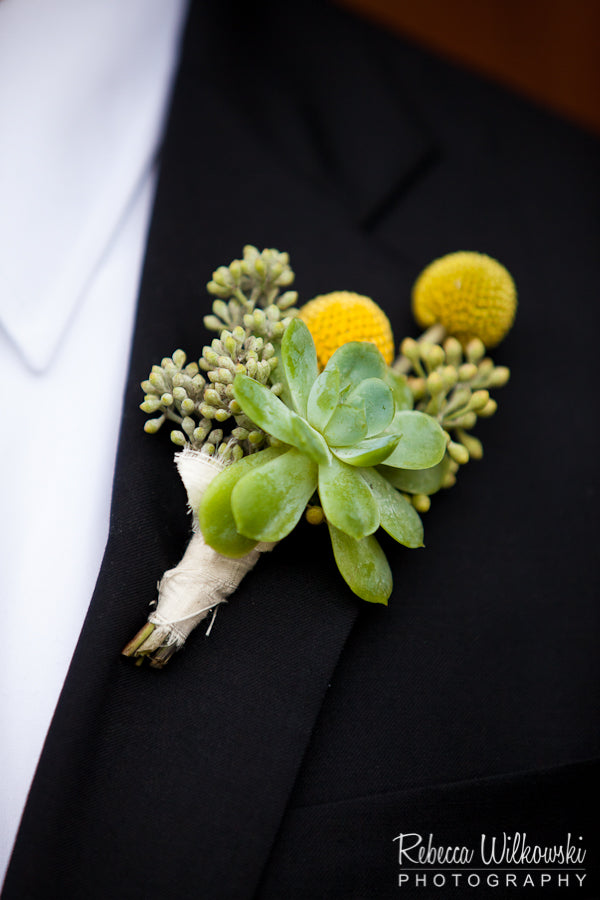 Succulent and crespedia boutonniere by Gorgeous and Green photographed by Rebecca Wilkowski