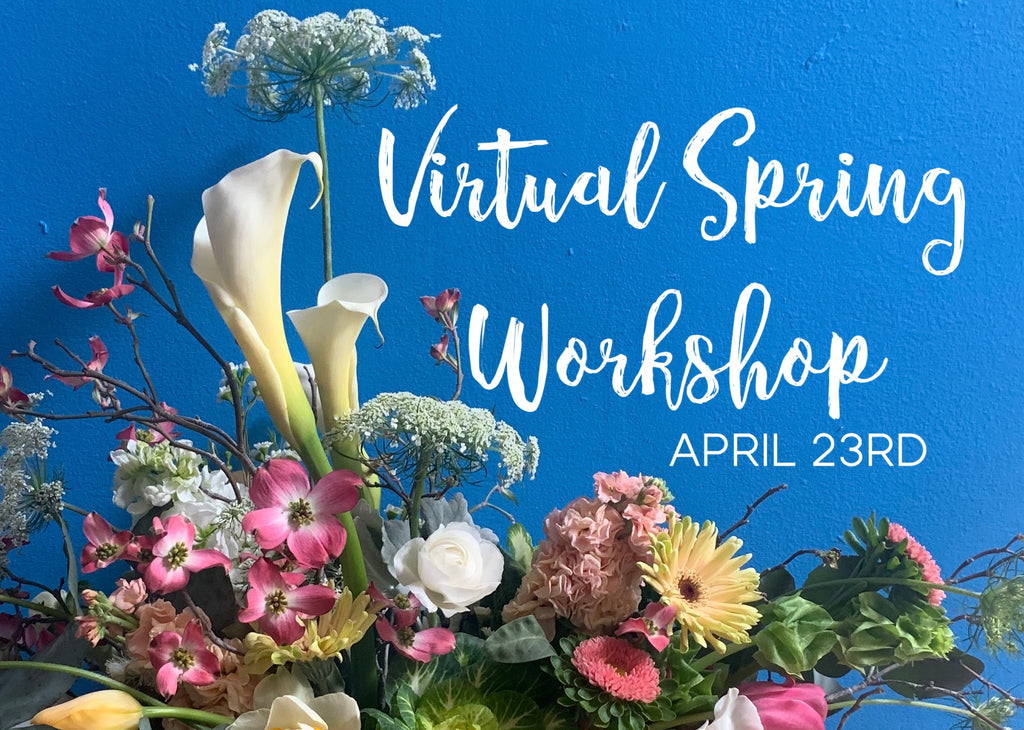 Get Sprung, it's Workshop Time!