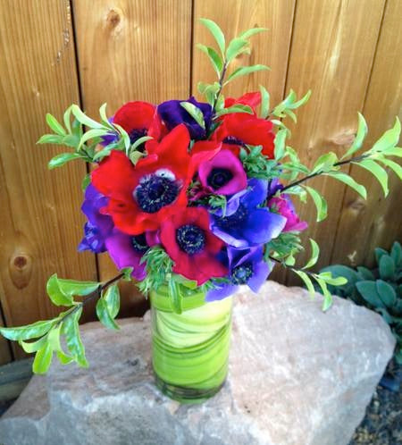 local love anemone flowers by Gorgeous and green